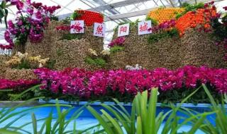 皇城相府门票多少钱